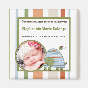 2"x2" Ankündigung Magnet Laguna Beach Turtle Frosc