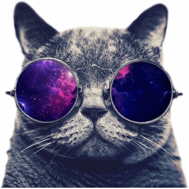 2-Zoll-Magnet Fotoskulptur Magnet (Vorne)