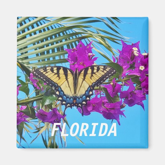 2 Zoll Square Magnet (Vorne)