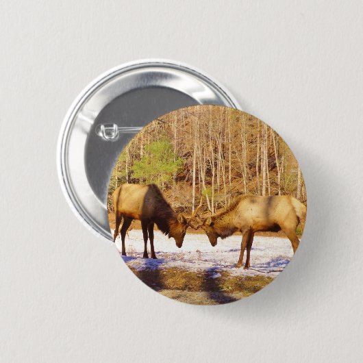2~ zwei Bull Elk im Schnee Button (Vorne & Hinten)