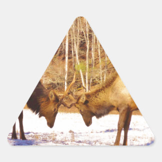 2~ zwei Bull Elk im Schnee Dreieckiger Aufkleber