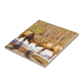 2~ zwei Bull Elk im Schnee Fliese (Seite)