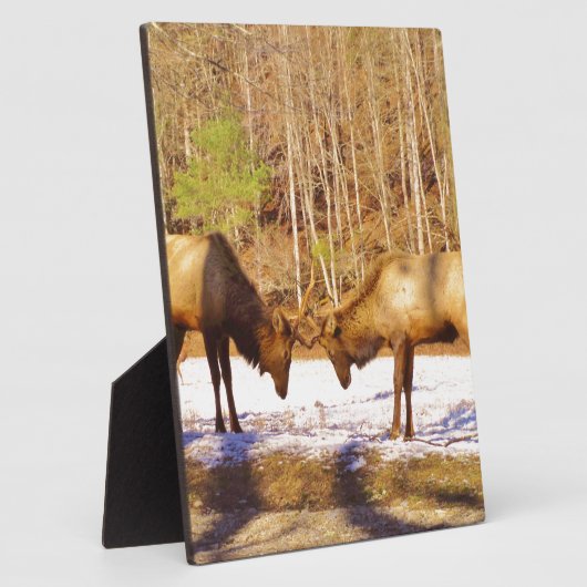 2~ zwei Bull Elk im Schnee Fotoplatte (Seite)