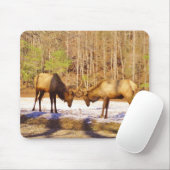 2~ zwei Bull Elk im Schnee Mousepad (Mit Mouse)
