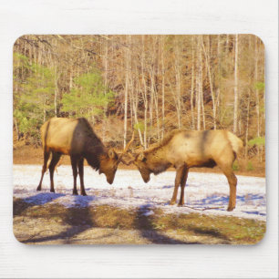 2~ zwei Bull Elk im Schnee Mousepad
