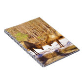 2~ zwei Bull Elk im Schnee Notizblock (Rechte Seite)