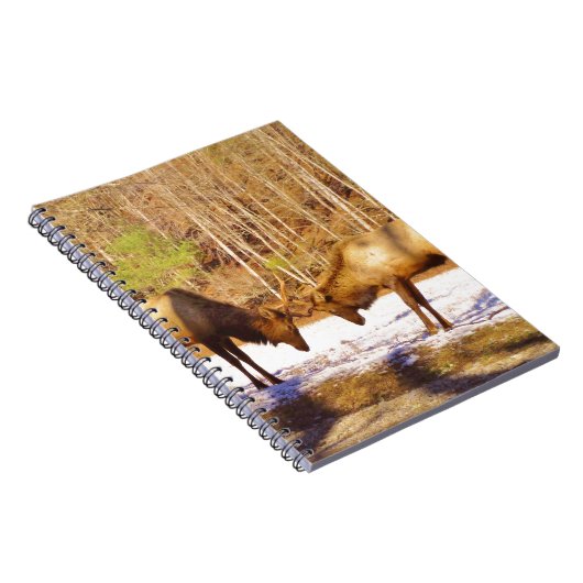 2~ zwei Bull Elk im Schnee Notizblock (Rechte Seite)