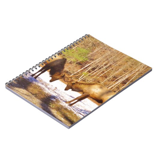 2~ zwei Bull Elk im Schnee Notizblock (Linke Seite)