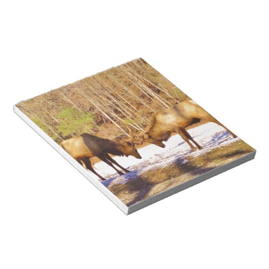 2~ zwei Bull Elk im Schnee Notizblock (angewinkelt)