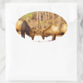 2~ zwei Bull Elk im Schnee Ovaler Aufkleber (Tasche)