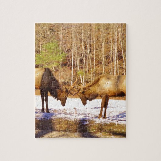 2~ zwei Bull Elk im Schnee Puzzle (Vertikal)
