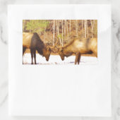 2~ zwei Bull Elk im Schnee Rechteckiger Aufkleber (Tasche)