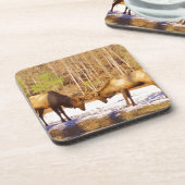 2~ zwei Bull Elk im Schnee Untersetzer (Linke Seite)