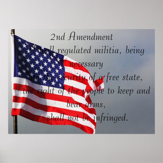 2ND Amendment Poster (Vorne)