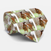 2NIEDLICHEN GESCHÄFTSPONIE KRAWATTE (Gerollt)