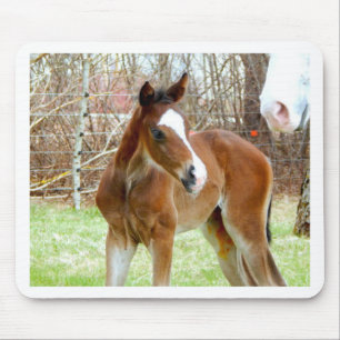 2NIEDLICHEN GESCHÄFTSPONIE MOUSEPAD