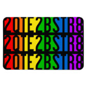 2QTE2BSTR8-Magnet Magnet (Horizontal)
