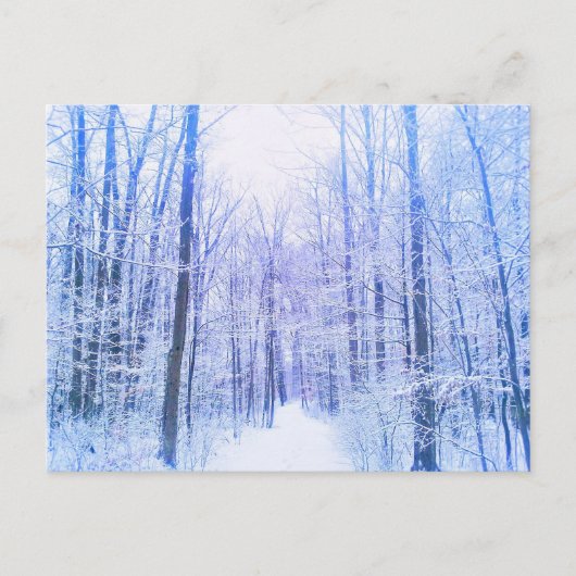 2Winterwaldpostkarte Postkarte (Vorderseite)