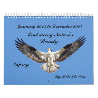 2yr. Deplicting Vögel des Kalenders, die Jan.2013 Kalender
