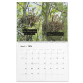 2yr. Kalender-/Falkeentwicklung Robert E. Weiss Kalender (Mär 2026)