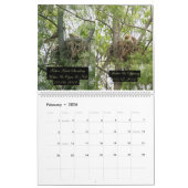 2yr. Kalender-/Falkeentwicklung Robert E. Weiss Kalender (Feb 2026)