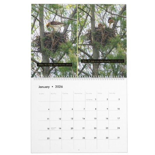 2yr. Kalender-/Falkeentwicklung Robert E. Weiss Kalender (Jan 2026)