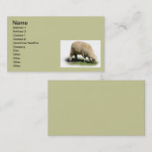 300_2A0019 SCHEEP LAMB Weidetiere Visitenkarte (Vorne/Hinten)