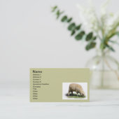 300_2A0019 SCHEEP LAMB Weidetiere Visitenkarte (Stehend Vorderseite)