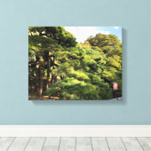 300 Jahre alte Pinienbäume Leinwanddruck (Insitu (Holzboden))