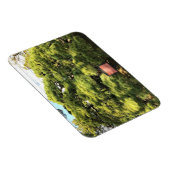 300 Jahre alte Pinienbäume Magnet (Rechte Seite)