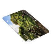 300 Jahre alte Pinienbäume Magnet (Rechte Seite)