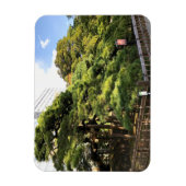 300 Jahre alte Pinienbäume Magnet (Vertikal)