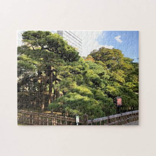 300 Jahre alte Pinienbäume Puzzle (Horizontal)
