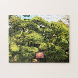 300 Jahre alte Pinienbäume Puzzle