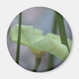 30. April Blume im Gras Magnet