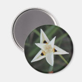 30. April Blume Magnet (Vorderseite/Rückseite)