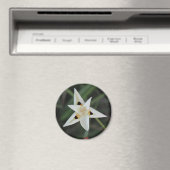 30. April Blume Magnet (In Situ (Geschirrspüler))