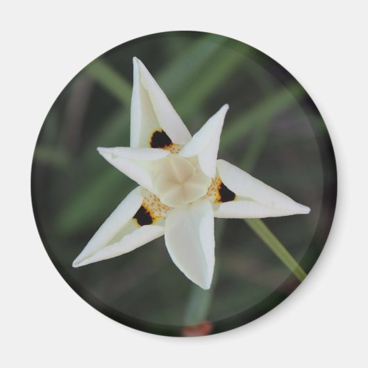 30. April Blume Magnet (Vorne)