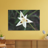 30. April Garden Blume Leinwand (Insitu (Wohnzimmer))