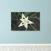 30. April Garden Blume Leinwand (Insitu (Holzboden))