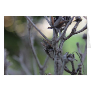 30. April Sommer-Stöcke