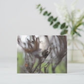 30. April Sommersticks #2 Postkarte (Stehend Vorderseite)