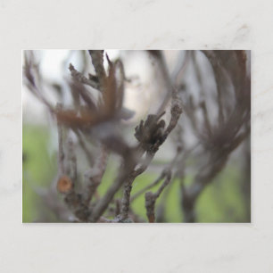30. April Sommersticks #2 Postkarte