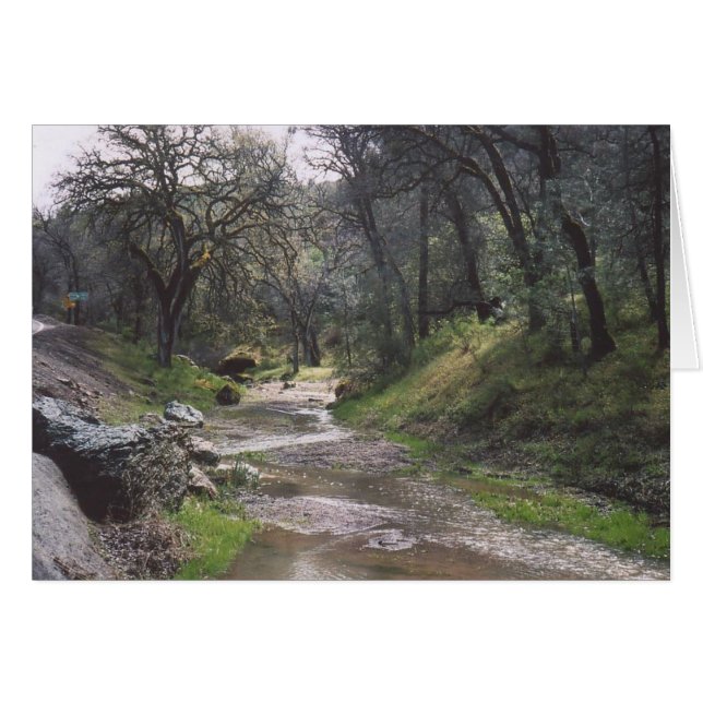 30. California Stream (Vorderseite (Horizontal))