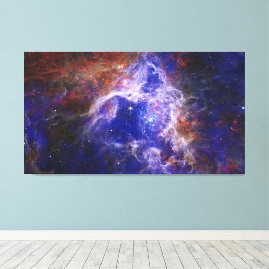 30 Doradus  Leinwanddruck (Insitu (Holzboden))