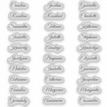 30 Gast Vornamen Calligraphy Elegant Skript Aufkleber<br><div class="desc">30 Guest Vornamen Calligraphy Elegant Script Sticker</div>