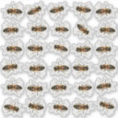 30 lebensgroße Honigbiene Honey Jar Lid Stickers Aufkleber (Vorderseite)
