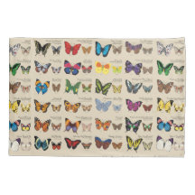 30 Schmetterlings-Spezies aus der ganzen Welt