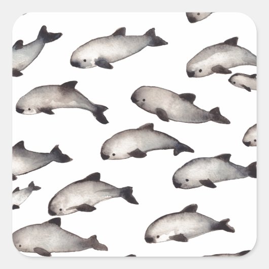 30 Vaquita porpoise dolphin Quadratischer Aufkleber (Vorderseite)