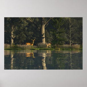 30" x 24" Papierposter mit "Erschrocken"-Bild Poster